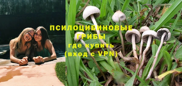 бошки Армянск