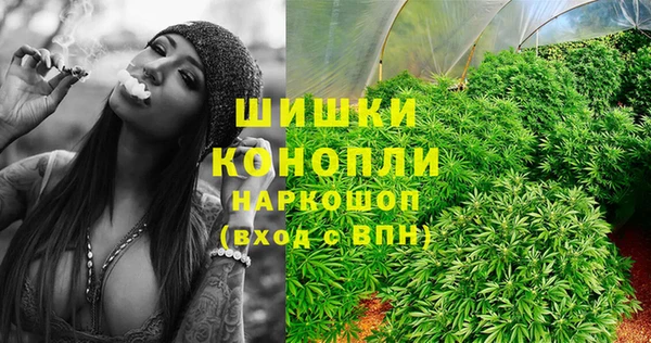 ешки Алзамай