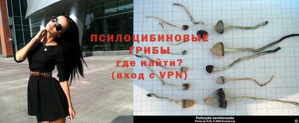 ешки Алзамай